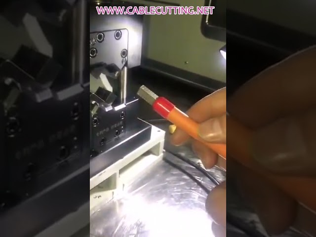 Applicateur de terminaux mini - Machine de sertissage automatique compacte