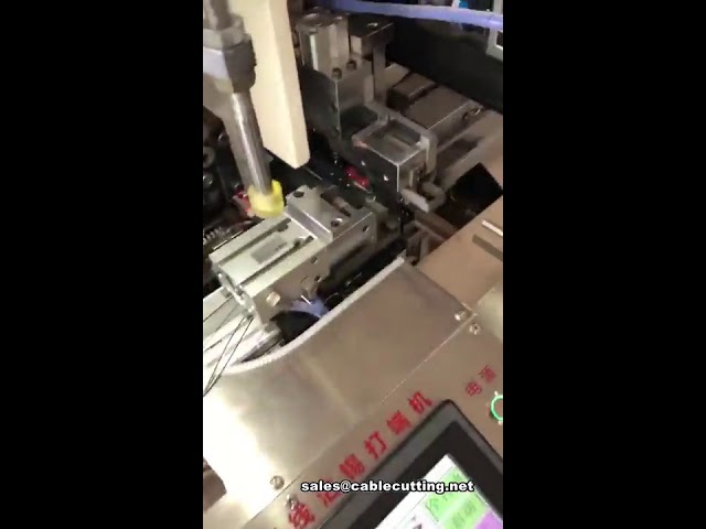 Machine de sertissage automatique pour cinq fils – Sertisseuse de bornes industrielle
