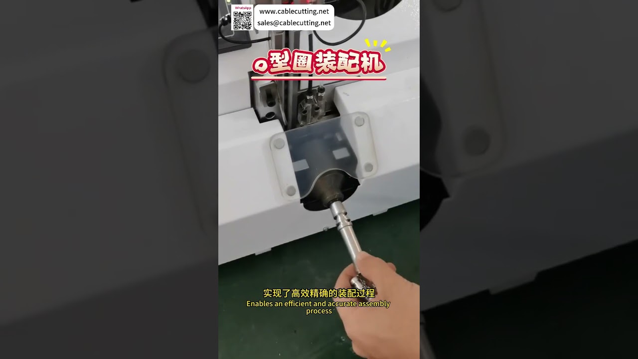 Reliable Automated Assembly Equipment System Custom High Precision Production Machinery Factory