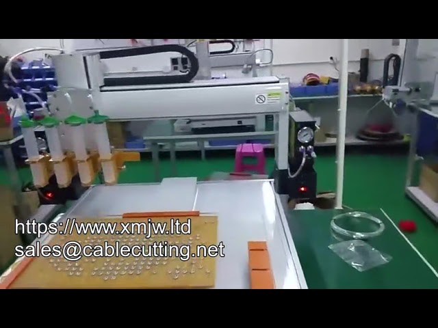 Machine de distribution de colle intelligente automatisée 3 axes 4 axes personnalisable