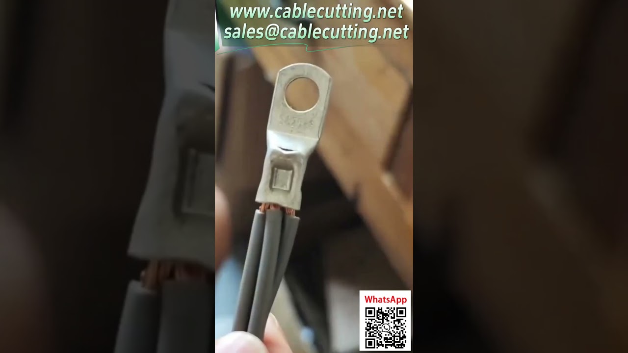 Machine à sertir pneumatique : démonstration pour cosses 0,25-25 mm² - Équipement d'automatisation