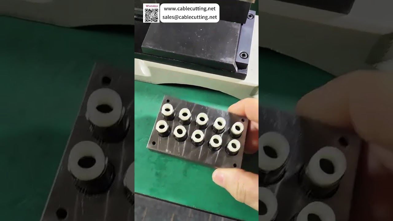 Machine à sertir les écrous simplifiée et équipements de sertissage silencieux avec matrices d'emboutissage personnalisées