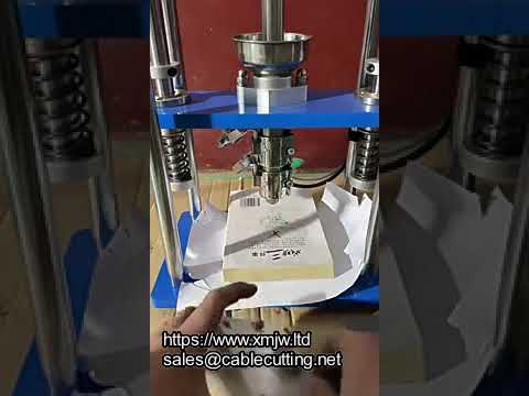 Machine d'injection pneumatique verticale de bureau – Idéale pour laboratoire et petite production (10g, 20g)