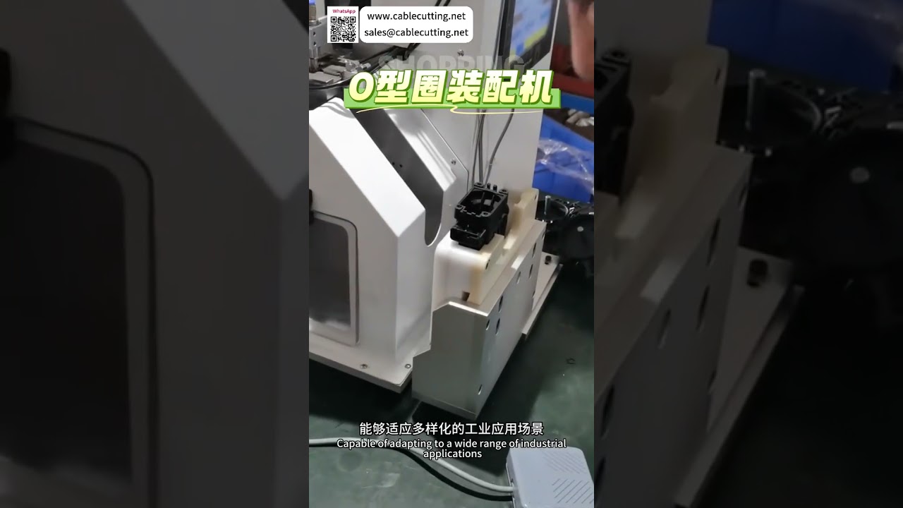 Équipement d'Assemblage Automatique Innovant - Système Industriel Haute Performance