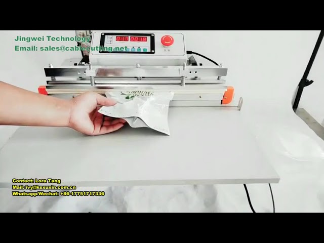 Machine de mise sous vide manuelle de table à pompe externe – Idéale pour petits lots