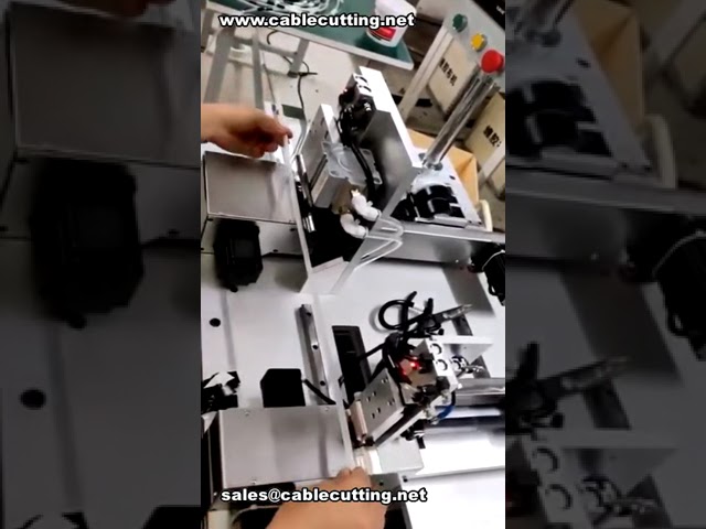 Machine de pose de ruban multi-point personnalisée pour tuyaux - Application simultanée de rubans 19 mm et 30 mm