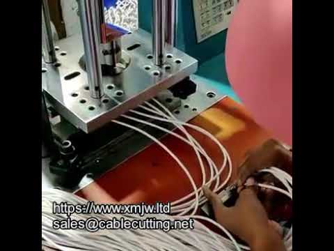 Machine de moulage par injection standard WPM 150 : performances et fiabilité