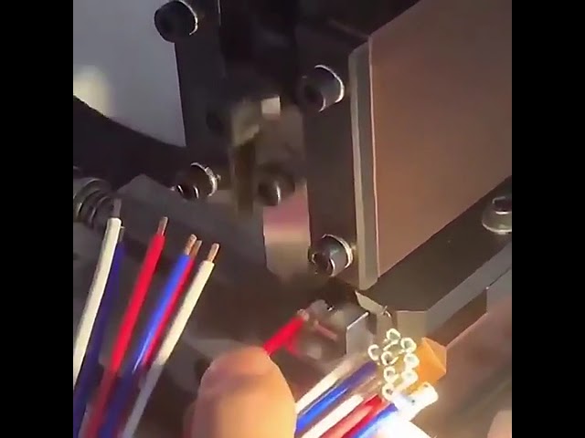 Matrice de sertissage à six arêtes pour bornes hexagonales - Applicateur de sertissage pour presse sans changement