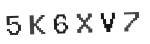 Verification Code Image